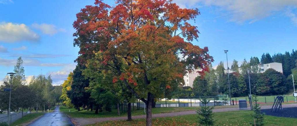 Syksy, Lahti